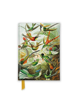 Hummingbird Foiled Pocket Journal